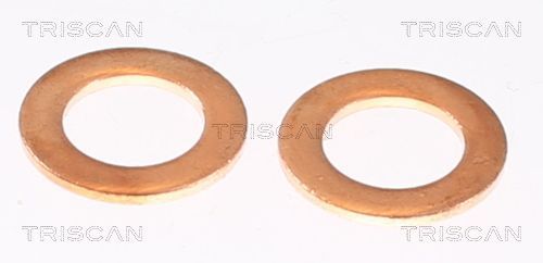 Stabdžių žarnelė TRISCAN 8150 80222