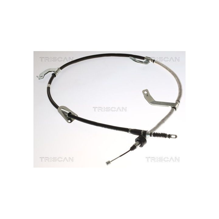 Trosas, stovėjimo stabdys TRISCAN 8140 181153