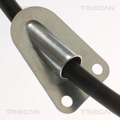 Trosas, stovėjimo stabdys TRISCAN 8140 181153