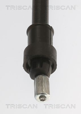 Trosas, stovėjimo stabdys TRISCAN 8140 251254