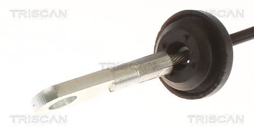 Trosas, stovėjimo stabdys TRISCAN 8140 291197