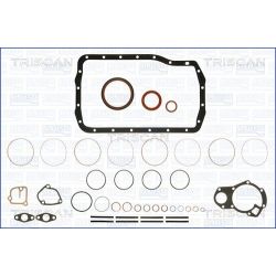 Tarpiklių rinkinys, variklio karteris TRISCAN 595-6013