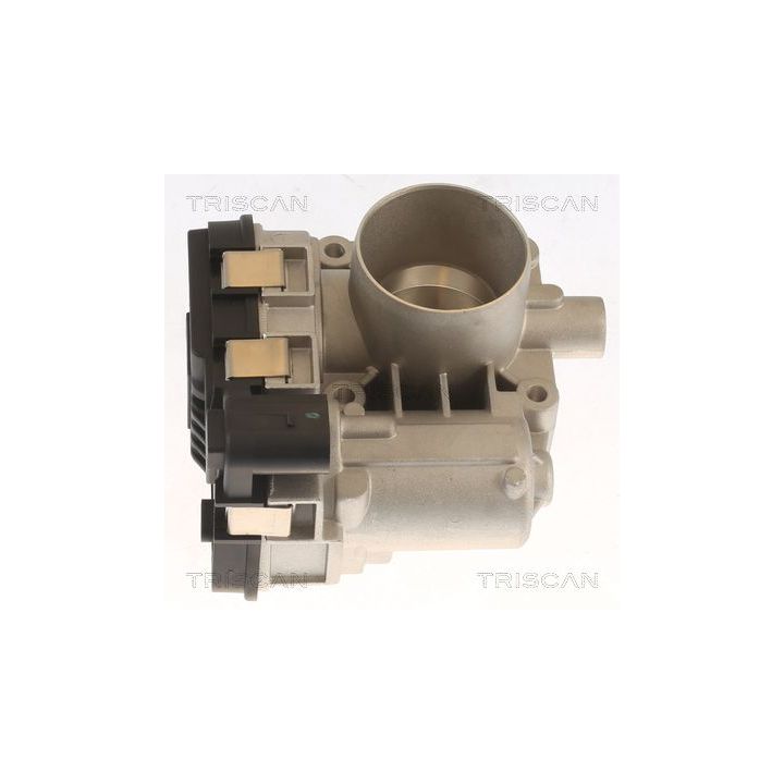 Droselio korpusas TRISCAN 8820 10005