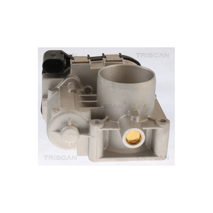 Droselio korpusas TRISCAN 8820 10005