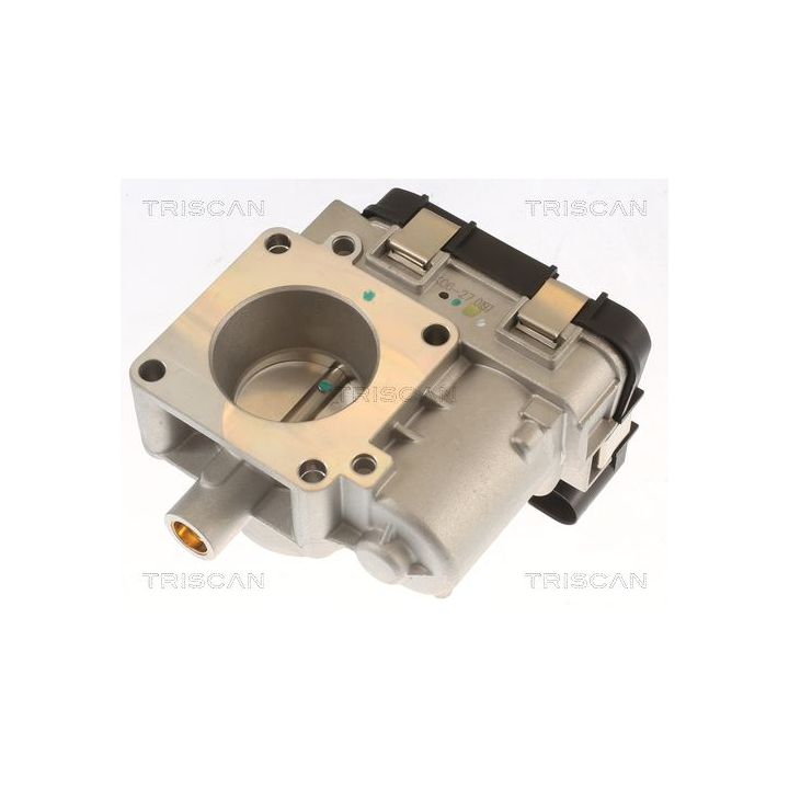 Droselio korpusas TRISCAN 8820 10005