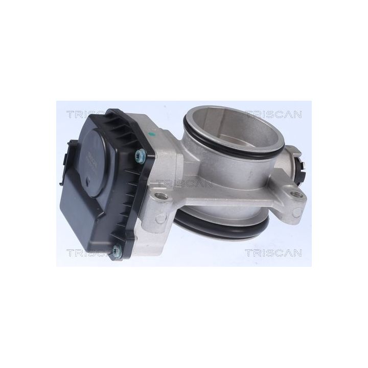 Droselio korpusas TRISCAN 8820 25002