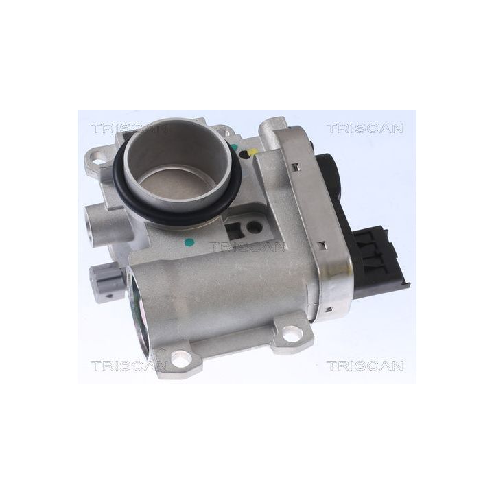 Droselio korpusas TRISCAN 8820 25003