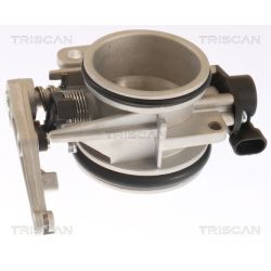 Droselio korpusas TRISCAN 8820 25005