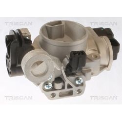 Droselio korpusas TRISCAN 8820 25006