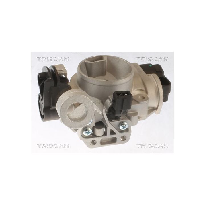 Droselio korpusas TRISCAN 8820 25006