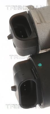 Droselio korpusas TRISCAN 8820 25006