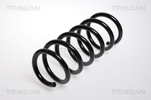 Spyruoklė TRISCAN 8750 1002