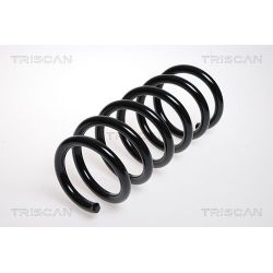 Spyruoklė TRISCAN 8750 1003