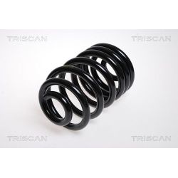 Spyruoklė TRISCAN 8750 1007