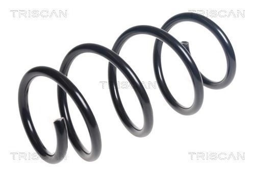 Spyruoklė TRISCAN 8750 1055