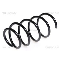 Spyruoklė TRISCAN 8750 11103
