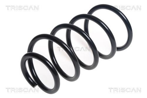 Spyruoklė TRISCAN 8750 11180