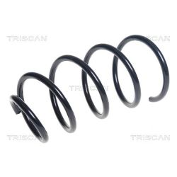 Spyruoklė TRISCAN 8750 11181