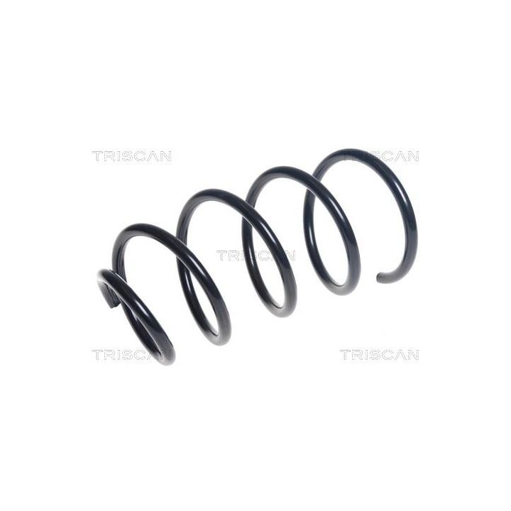 Spyruoklė TRISCAN 8750 11181