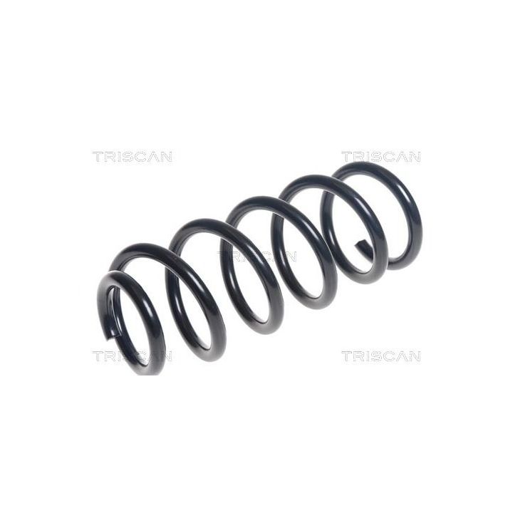 Spyruoklė TRISCAN 8750 11185