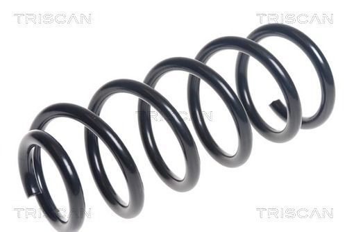 Spyruoklė TRISCAN 8750 11185