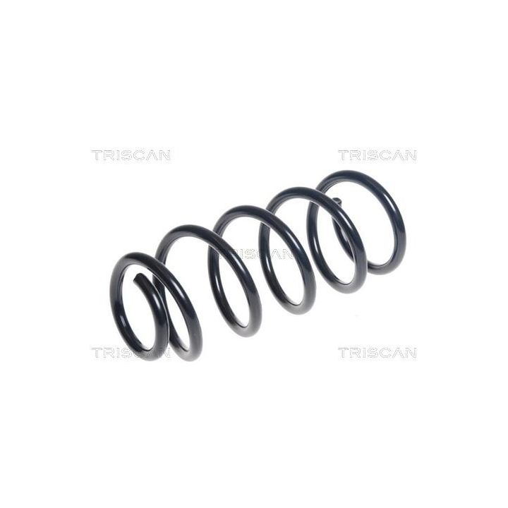 Spyruoklė TRISCAN 8750 11189