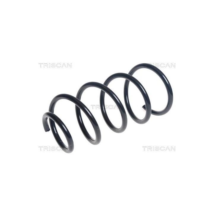 Spyruoklė TRISCAN 8750 11190