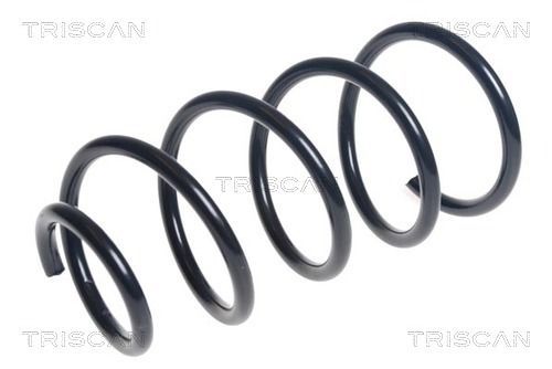 Spyruoklė TRISCAN 8750 11190