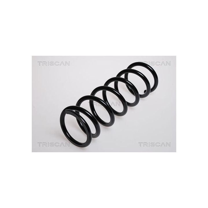 Spyruoklė TRISCAN 8750 13158