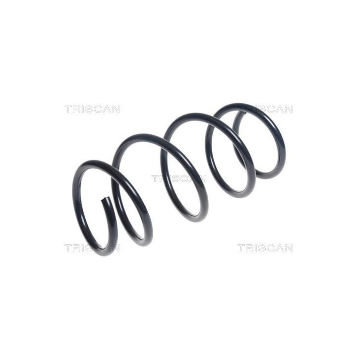 Spyruoklė TRISCAN 8750 13229