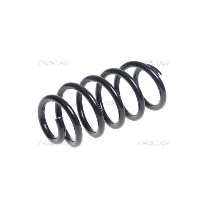 Spyruoklė TRISCAN 8750 13237