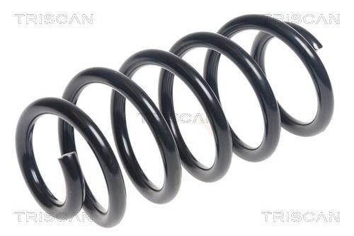 Spyruoklė TRISCAN 8750 13237