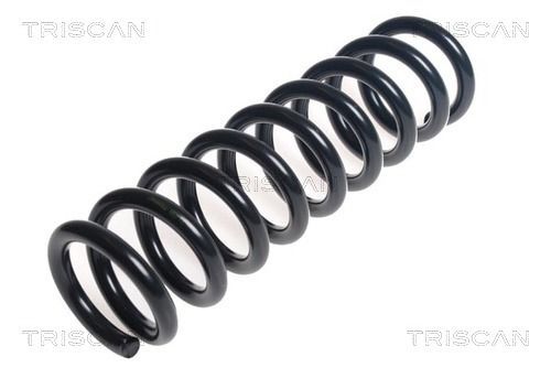 Spyruoklė TRISCAN 8750 14118
