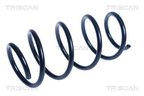 Spyruoklė TRISCAN 8750 14125