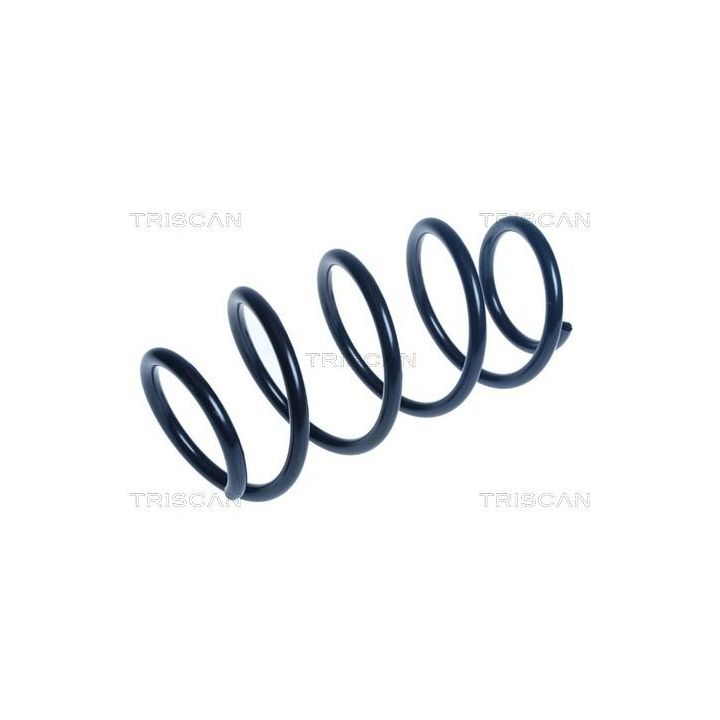 Spyruoklė TRISCAN 8750 14126