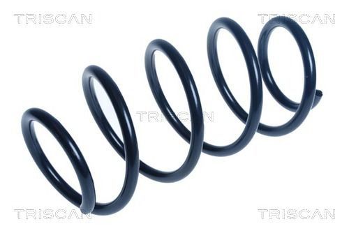 Spyruoklė TRISCAN 8750 14126