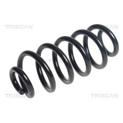 Spyruoklė TRISCAN 8750 14131