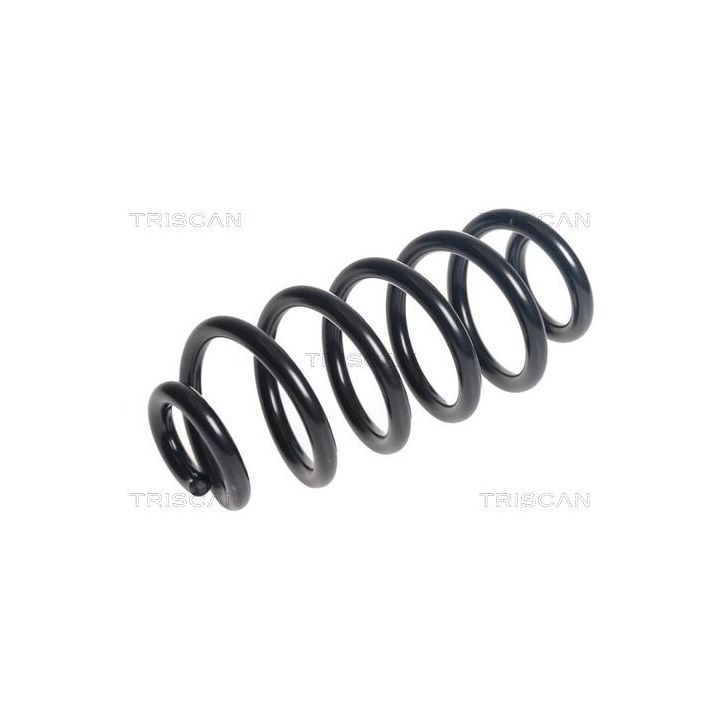 Spyruoklė TRISCAN 8750 14131