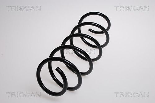 Spyruoklė TRISCAN 8750 15110
