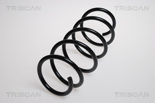 Spyruoklė TRISCAN 8750 15137