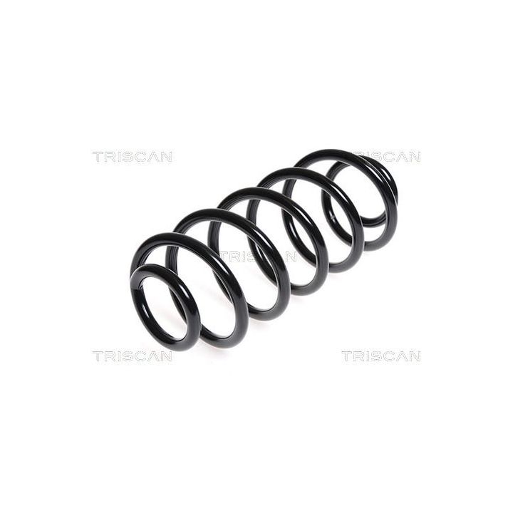 Spyruoklė TRISCAN 8750 15173