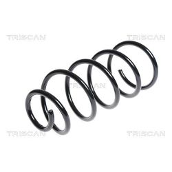 Spyruoklė TRISCAN 8750 15174