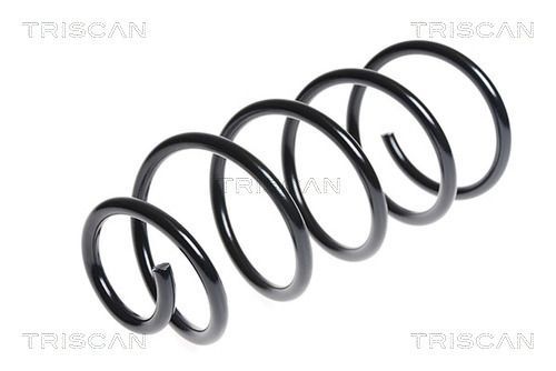 Spyruoklė TRISCAN 8750 15174