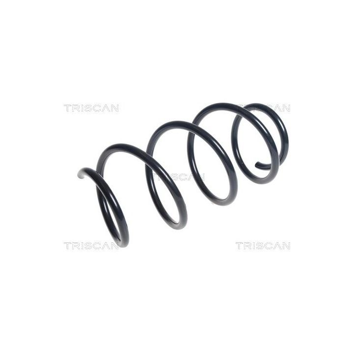 Spyruoklė TRISCAN 8750 15193