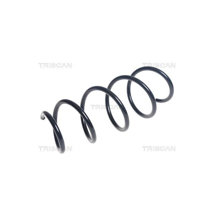 Spyruoklė TRISCAN 8750 15210