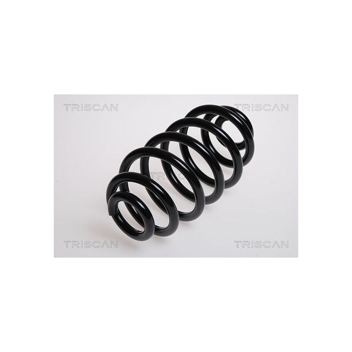 Spyruoklė TRISCAN 8750 1719