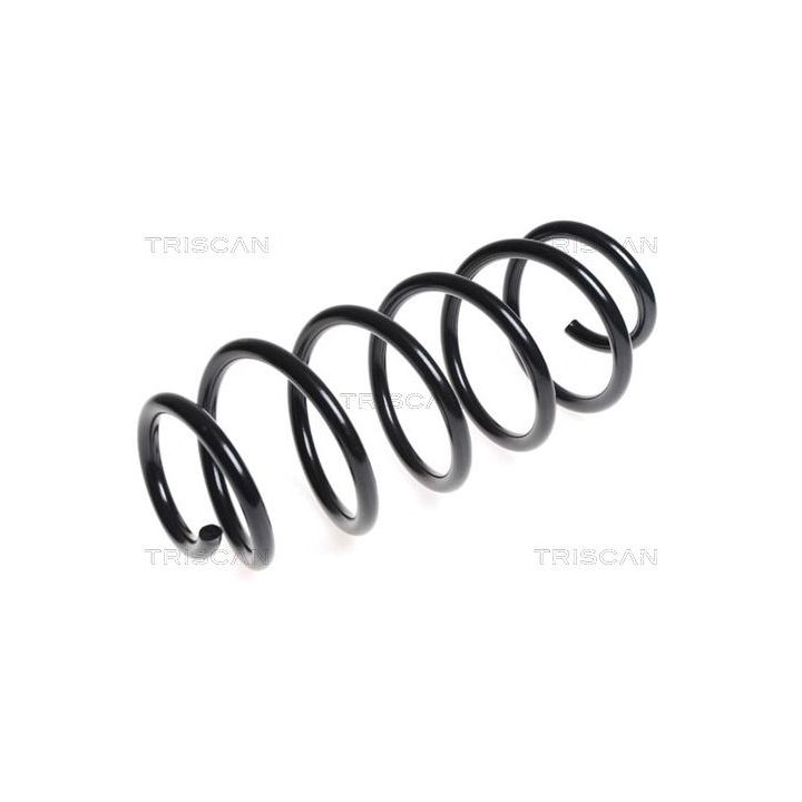 Spyruoklė TRISCAN 8750 1740