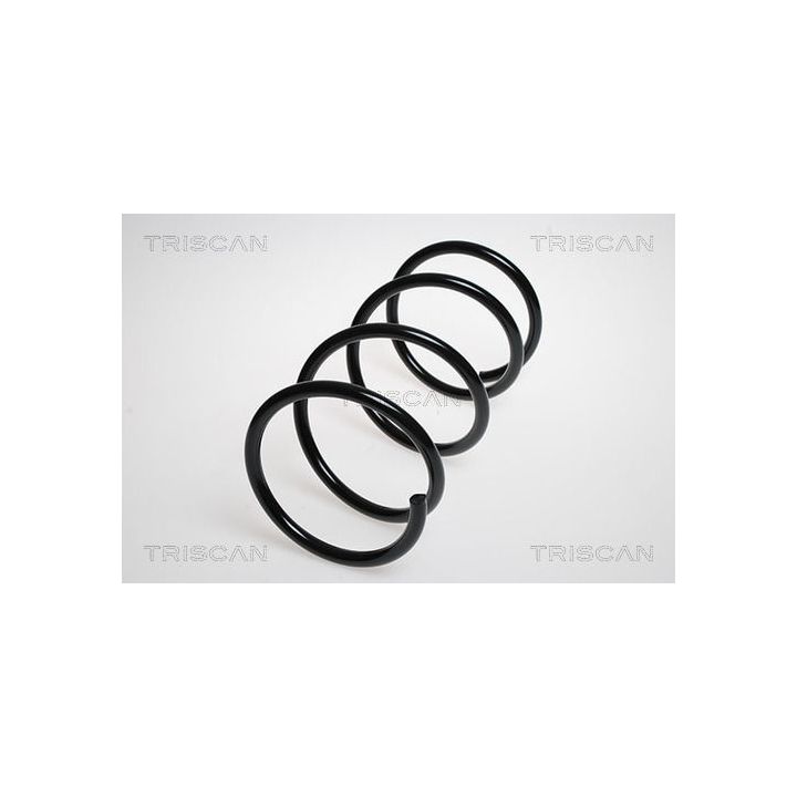 Spyruoklė TRISCAN 8750 1828