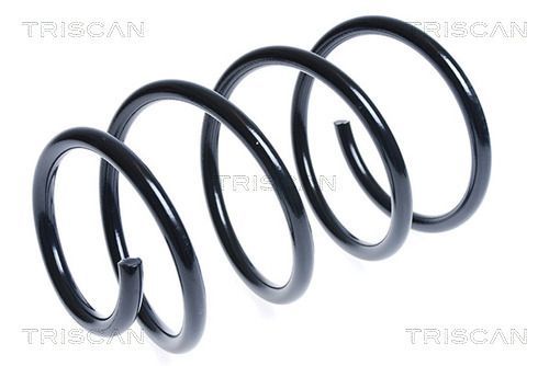 Spyruoklė TRISCAN 8750 1841