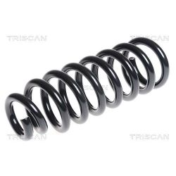 Spyruoklė TRISCAN 8750 1856